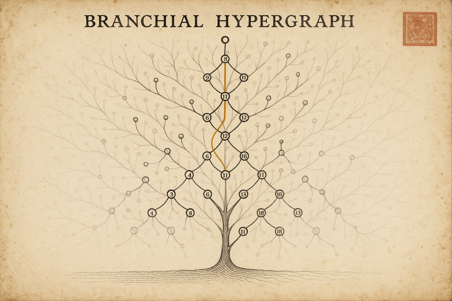 Branchial hypergraph diagram — Wolfram-style multi-way evolution tree.